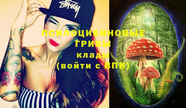 ГАЛЛЮЦИНОГЕННЫЕ ГРИБЫ Арсеньев