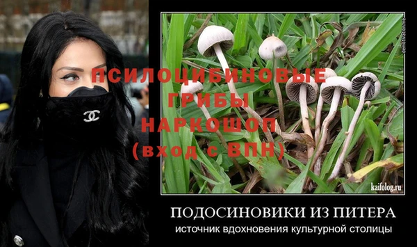 гашик Армянск