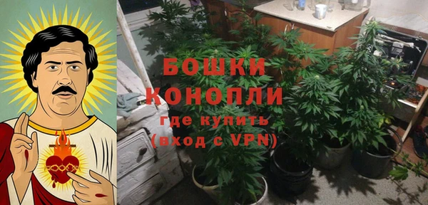 гашик Армянск