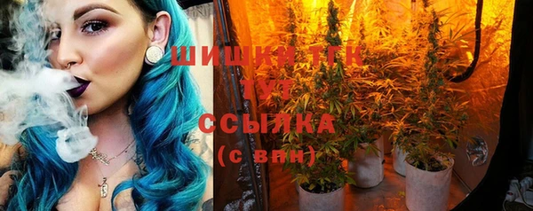 гашик Армянск
